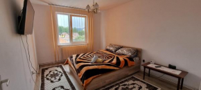 Lovely 1 bedroom apartment in Miercurea Ciuc